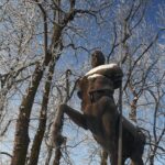 sowiniec-0119_p1-scaled