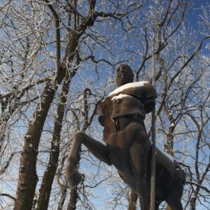 sowiniec-0119_p1-scaled